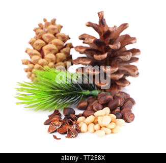 Cedar pine nuts isolated on white Stock Photo