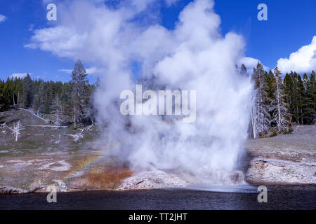 Eruption of the Riverside Geyser alongside the Firehole River in the Upper Geyser Basin of Yellowstone National Park. Stock Photo