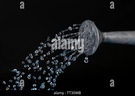 Water can watering flowers on black background Stock Photo