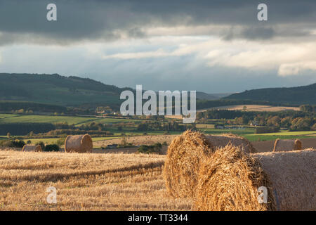 Late Afternoon Sunshine Falls on Bales of Straw in this View of the Aberdeenshire Countryside Near Sauchen Stock Photo