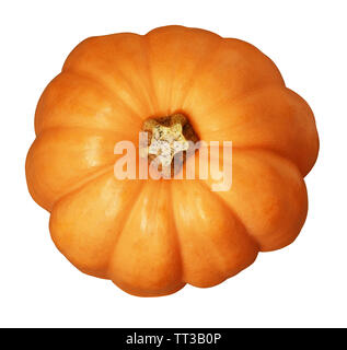 Orange round pumpkin isolated on white. Top view. Stock Photo