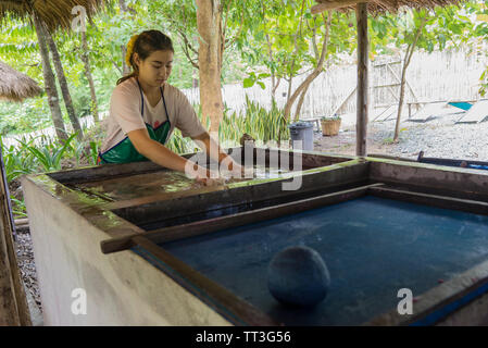 Chiang Mai, Thailand. September 14, 2015. A women making handmade paper from elephant poo Stock Photo