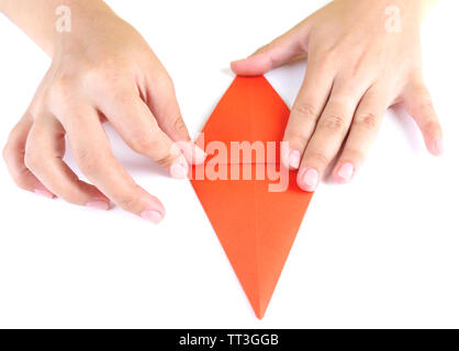 Hands making origami rabbit, close up, isolated on white Stock Photo