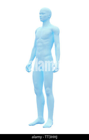 Human body. 3D Rendering image of male body. Wireframe model isolated on  white background Stock Photo - Alamy