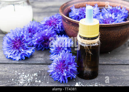 Cornflower essential oil. Cornflower flowers Close-up. Stock Photo