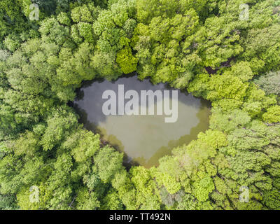 Aerial top view of wild forest muddy lake. Drone photo in warm tones. Stock Photo