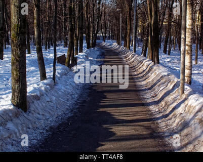 paved path on a clear day in the Park in winter, Moscow Stock Photo