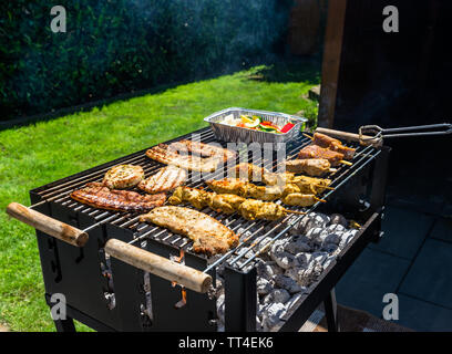 https://l450v.alamy.com/450v/tt4ek6/different-types-of-meat-fried-on-the-home-grill-standing-on-a-home-garden-on-the-paving-stone-tt4ek6.jpg