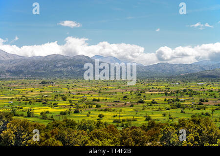 The Lasithi Plateau is located in the Lasithi region of eastern Crete ringed by the Dikti Mountains. The plateau is famous for its many windmills Stock Photo