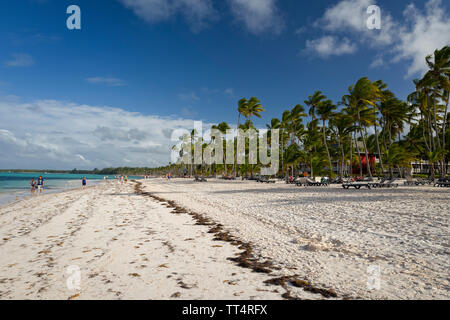 Palm Trees on Bavaro Beach Dominican Republic Stock Photo