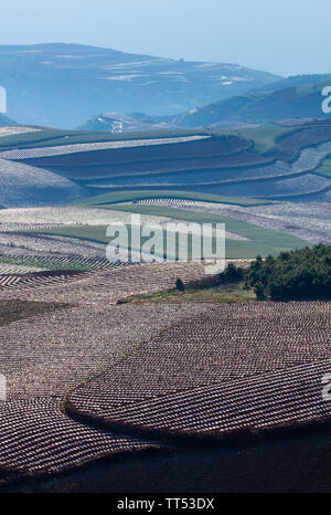 Agricultural landscape on springtime, Red Lands landscape, Dongchuan District, Yunnan Province, China, Asia Stock Photo