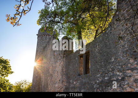 Starkenburg castle at Heppenheim, Hesse, Germany Stock Photo - Alamy