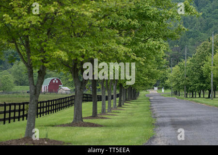 UNITED STATES - May 23, 2016: Doukenie Winery is nestled in the foothills of the Blue Ridge, the address says Purcellville but the location is just ou Stock Photo