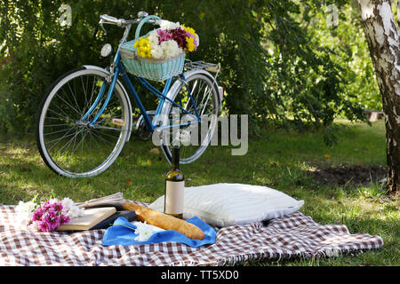 Old bicycle and picnic snack on checkered blanket on grass in park Stock Photo