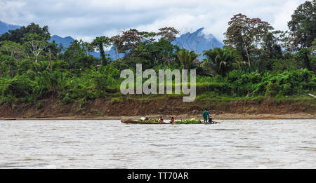 Beni River, Bolivia - MAY 12, 2018: transport of bananas in Beni River in Beni Region, Bolivia. The rivers are the main roads in the Amazon jungle. Stock Photo