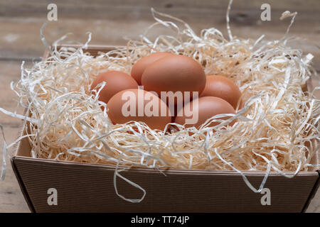 Hen eggs in a bed of straw Stock Photo
