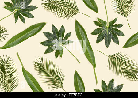 Various green palm leaves pattern Stock Photo
