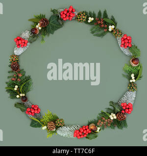 Natural winter solstice and christmas wreath with holly, snow covered spruce fir, mistletoe, acorns, cedar leaves and ivy on green background with cop Stock Photo