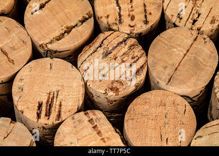Extreme Macro of Cork ends in a bucket in the wine cellar with a soft cellar lighting.  Very nice contrast and clarity.  Plenty of room for copywritin Stock Photo
