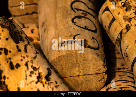 Extreme Macro of Corks in a bucket in the wine cellar with a soft cellar lighting.  Very nice contrast and clarity.  Plenty of room for copywriting. Stock Photo