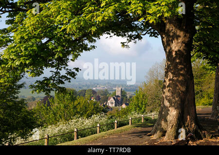 Trees on Park Walk in Shaftesbury, with views of St. James' Church and the surrounding countryside. Stock Photo