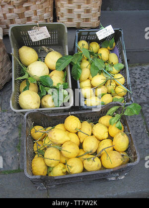 A STILL LIFE OF LEMONS BEING SOLD IN A SHOP IN AMALFI, AMALFI COAST, ITALY. Stock Photo