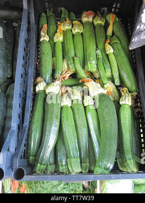 A STILL LIFE OF ZUCCINI BEING SOLD IN A SHOP IN AMALFI, AMALFI COAST, ITALY. Stock Photo