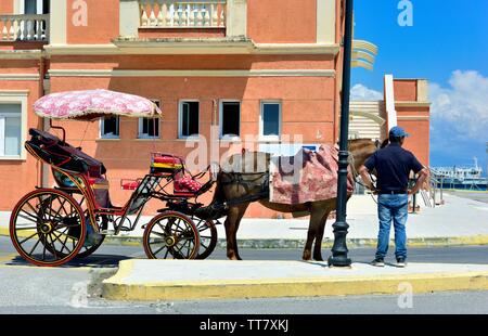 Horse and carriage ride waiting for passengers in the main (Medieval ...