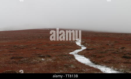 Autumn Mist on Kinder Scout, Derbyshire. Stock Photo