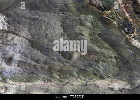 Textured surface of natural rock, where you can see layers of rock and white crystals formed over time. Can be used as wallpaper. Stock Photo