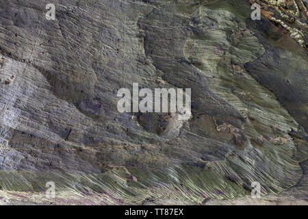 Textured surface of natural rock, where you can see layers of rock and white crystals formed over time. Can be used as wallpaper. Stock Photo