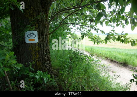 Tree lined country lane, cycle trail sign on the thick trunk Stock Photo