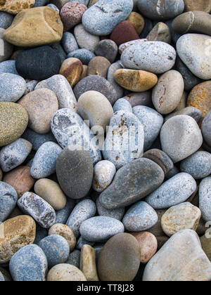 A variety of different multi coloured pebbles on the beach at Limeslade Bay, Swansea, Gower, Wales, UK. Stock Photo