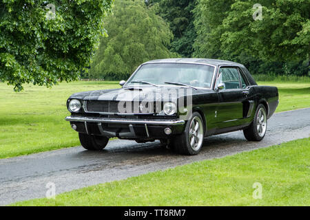 Blurred moving car Shelby FORD MUSTANG GT AUTO American muscle car Slow camera shutter speed vehicle movement Stock Photo