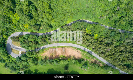 High Angle View Of Road Amidst Trees