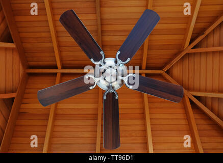 Ceiling fan, indoors Stock Photo