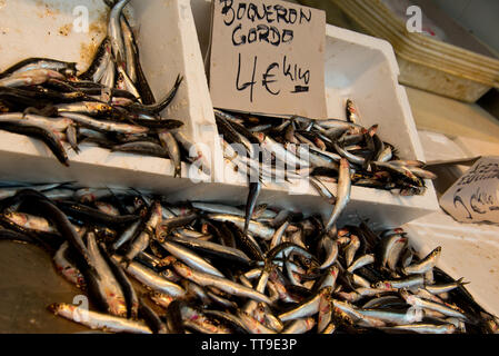 fresh anchovies on fish market in cadiz, andalusia, spain Stock Photo