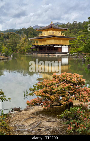 Golden pavilion, Kyoto, Japan, with a reflection in the lake. Stock Photo