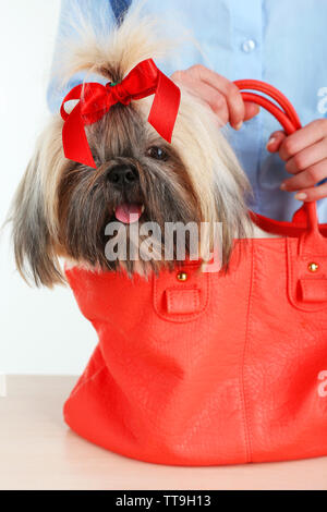 Shih 2025 tzu bag