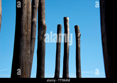 group of charred wooden poles against blue sky Stock Photo