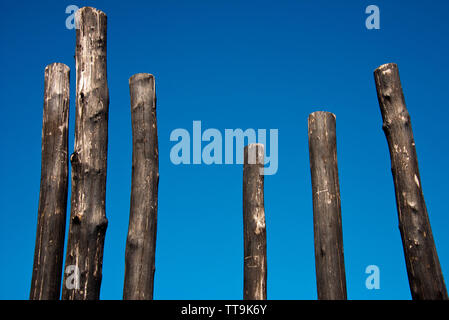 group of charred wooden poles against blue sky Stock Photo
