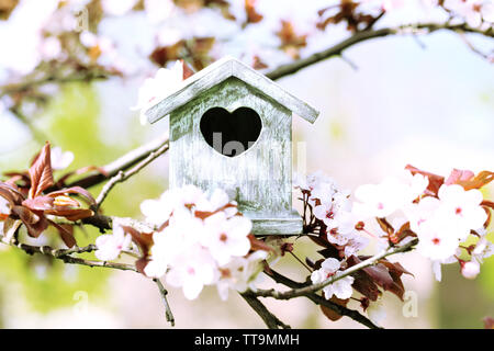 Decorative nesting box on bright background Stock Photo