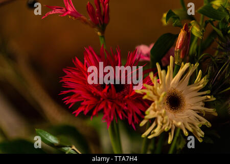 Autumn and Winter Themed Flower Arrangement Stock Photo