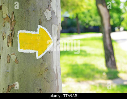 Bright arrow on tree outdoors Stock Photo