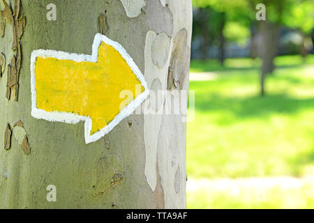 Bright arrow on tree outdoors Stock Photo