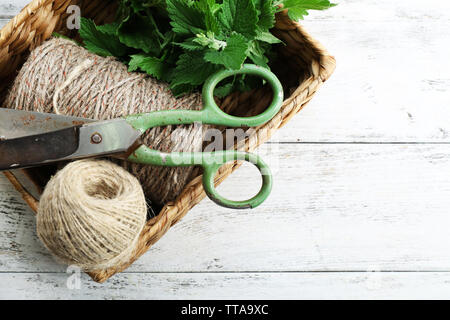 Leaves of lemon balm with rope and scissors in wicker basket on wooden background Stock Photo
