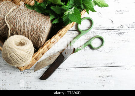 Leaves of lemon balm with rope and scissors in wicker basket on wooden background Stock Photo