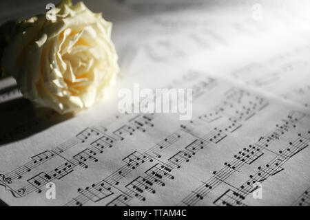 Beautiful rose on music sheets background Stock Photo