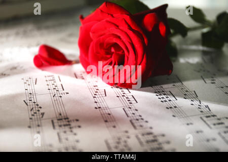 Beautiful rose on music sheets, closeup Stock Photo