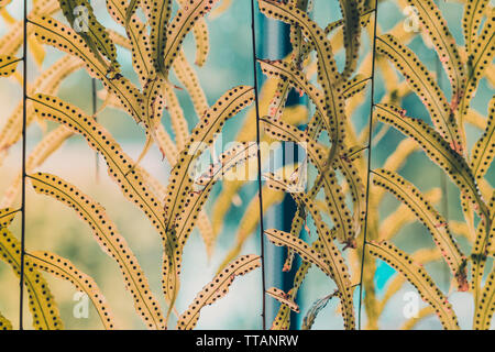 Beautiful Artificial leaves hanging in front of glass window to decorate the coffee shop. Natural Background. Stock Photo